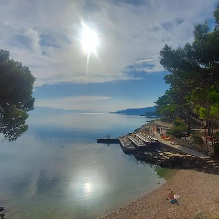 Niko * Jelsa (Hvar)